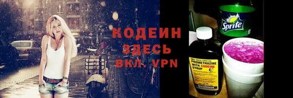крисы Баксан
