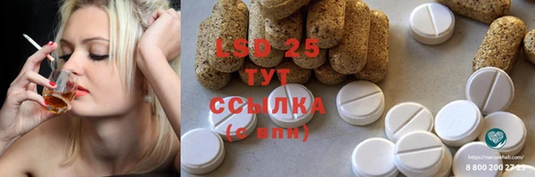 крисы Баксан