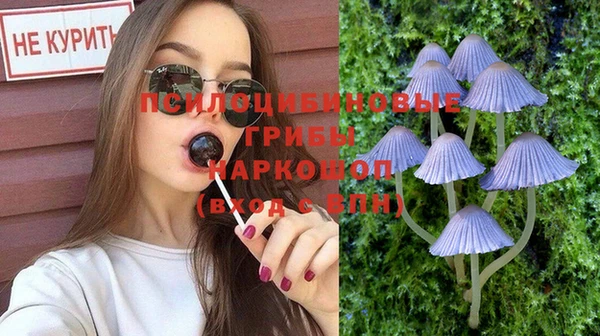 крисы Баксан