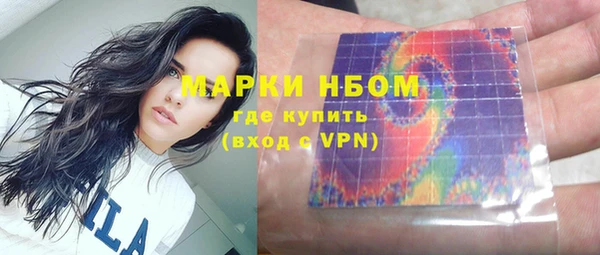 крисы Баксан