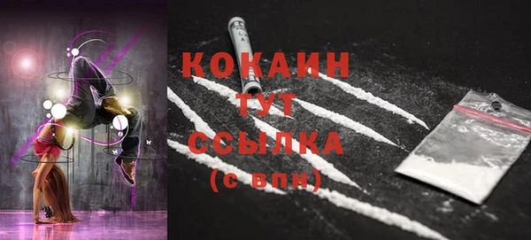 крисы Баксан