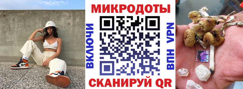 Галлюциногенные грибы Psilocybe  Городовиковск 